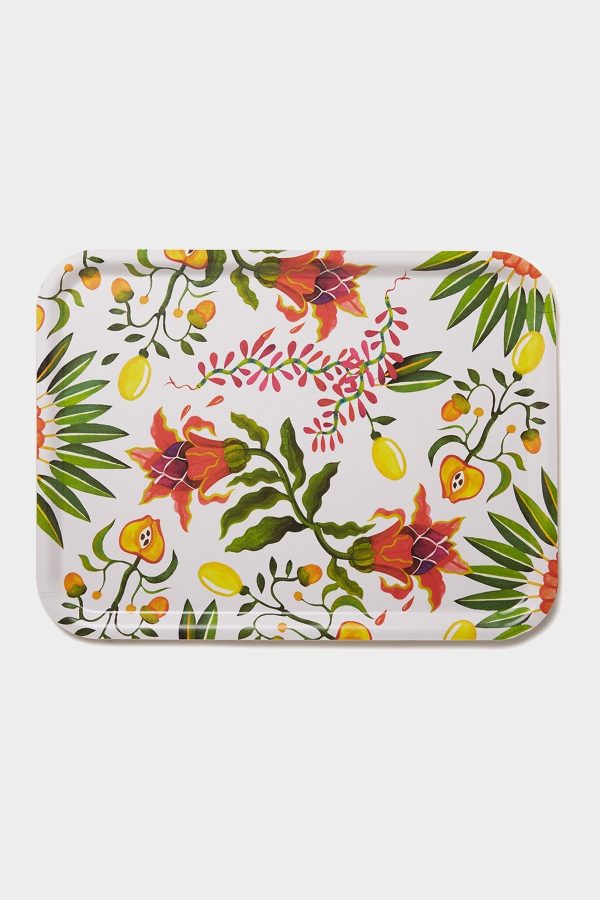 Rectangular Printed Tray in Eden at American National Standards Institute Inc.