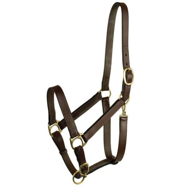 Gatsby Adjustable Turnout Halter with Snap at Equestrian Collections