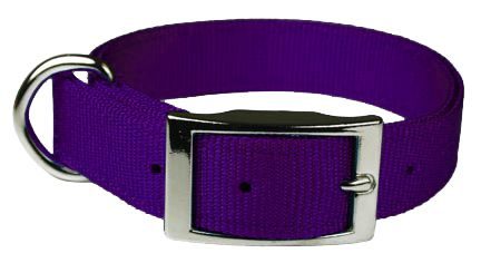 Double Layer Dog Collar 22 Inch Purple at Horse.com