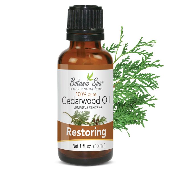 Cedarwood Essential Aromatherapy and Body Oil - 1 Oz at Botanic Choice