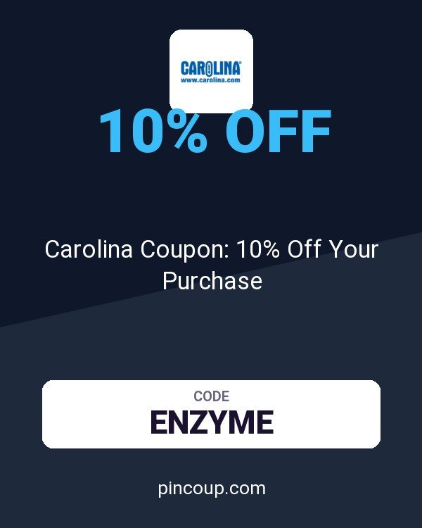 Carolina Coupon: 10% Off Your Purchase