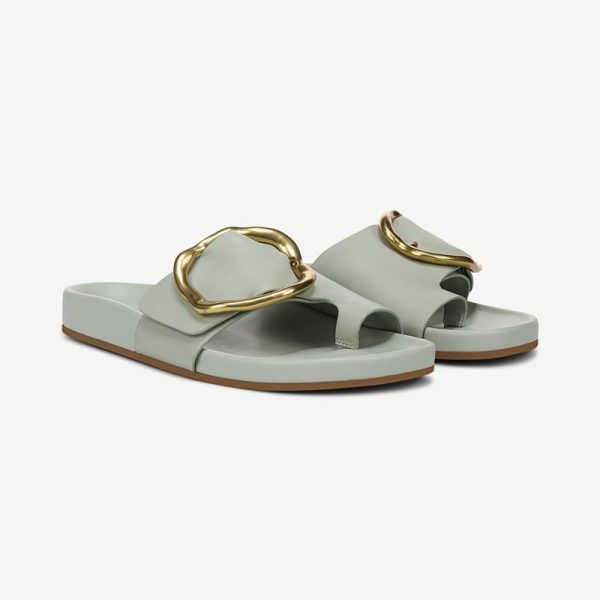 Franco Sarto Shoes Franco Brianka Slide Sandal (Sage Green Leather) 8.0 M Round Toe