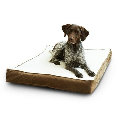 Happy Hounds Oscar Sherpa Orthopedic Dog Bed Latte Medium (42 x 30 in.) at Walmart.com