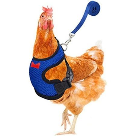 Yaoyar Chicken Harness with Leash Upgraded Double Adjustment Chicken Harness and Leash Set for Hens Duck Goose Small Pet at Walmart.com