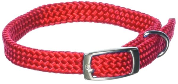 Adjustable Puppy Collar 12 Inch Red at Horse.com