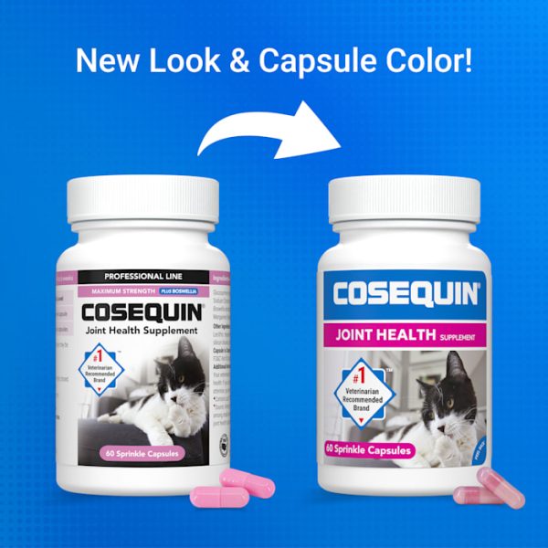 NUTRAMAX COSEQUIN Maximum Strength Joint Supplement for Cats, Count of 60 at PETCO Animal Supplies