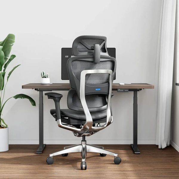 O1 (Ergo PLUS 743) | Flex Mesh Ergonomic Chair at Odinlake