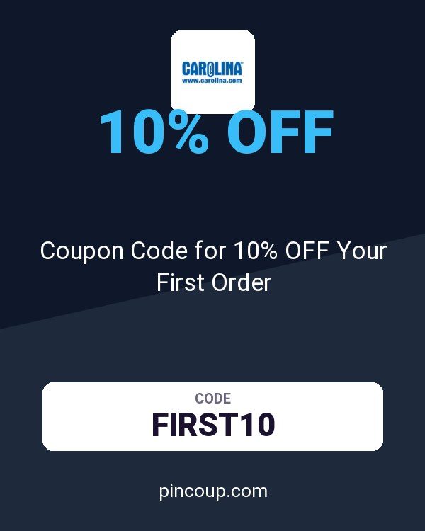 Carolina: Coupon Code for 10% OFF Your First Order
