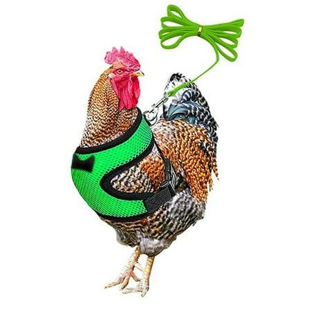 Yaoyar Chicken Harness with Leash Upgraded Double Adjustment Chicken Harness and Leash Set for Hens Duck Goose Small Pet at Walmart.com