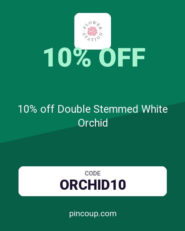 Flower Station Ltd coupon: 10% off Double Stemmed White Orchid