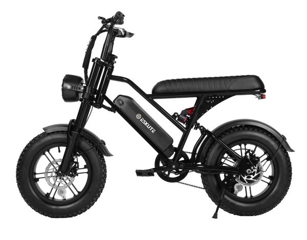 Eskute® V100 164.0" Electric Bike for Kids&Teens at Eskute Ebikes