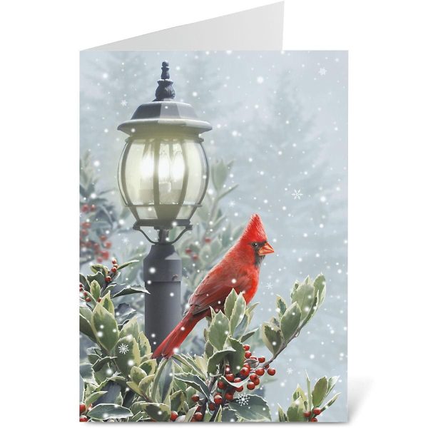 Winter Solitude Christmas Cards - Nonpersonalized at Current Catalog