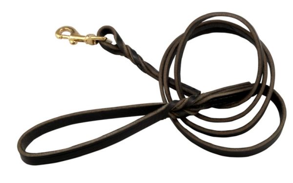 Twisted Latigo Dog Lead 6 Ft x 5/8 Black at Horse.com