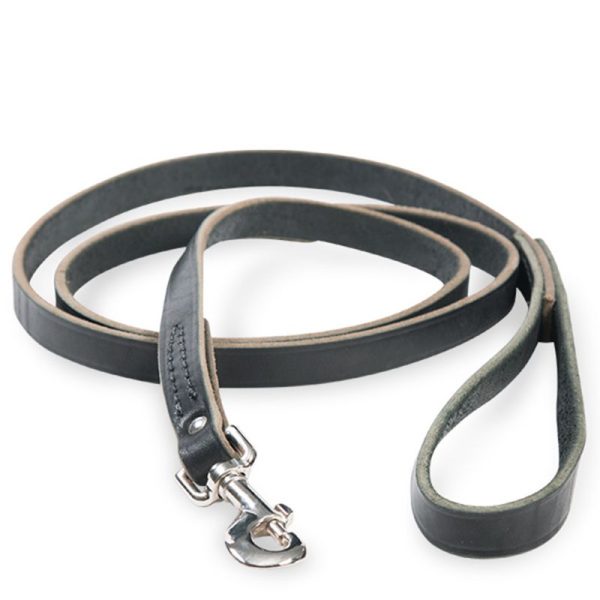Latigo Dog lead Black 6 x 3/8 at Horse.com