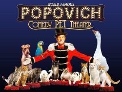 Popovich Comedy Pet Theater at VEGAS.com