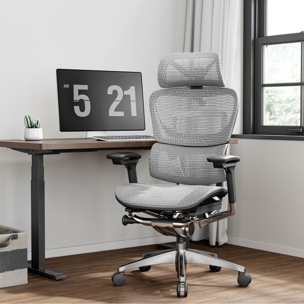 O1 (Ergo PLUS 743) | Flex Mesh Ergonomic Chair - White / Without Footrest at Odinlake