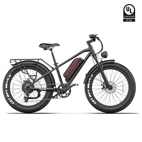 Kingbull Hunter 2.0S | Mountain Fat Tire Electric Bike at Kingbull Electric Bikes