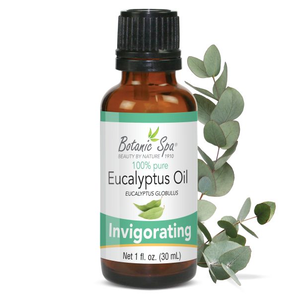Eucalyptus Essential Aromatherapy and Body Oil - 1 Oz at Botanic Choice