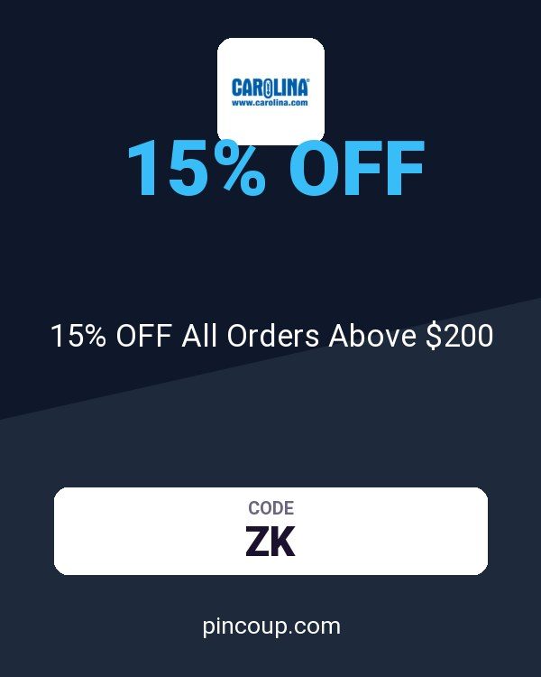 Carolina coupon: 15% OFF All Orders Above $200