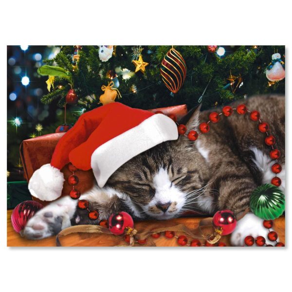 Picture This Christmas Cat Christmas Cards - Personalized at Current Catalog