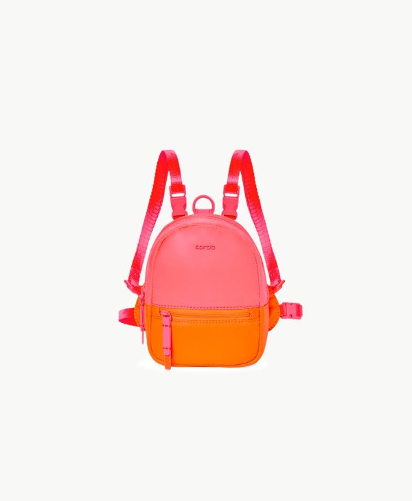 Dog Backpack at Caraa