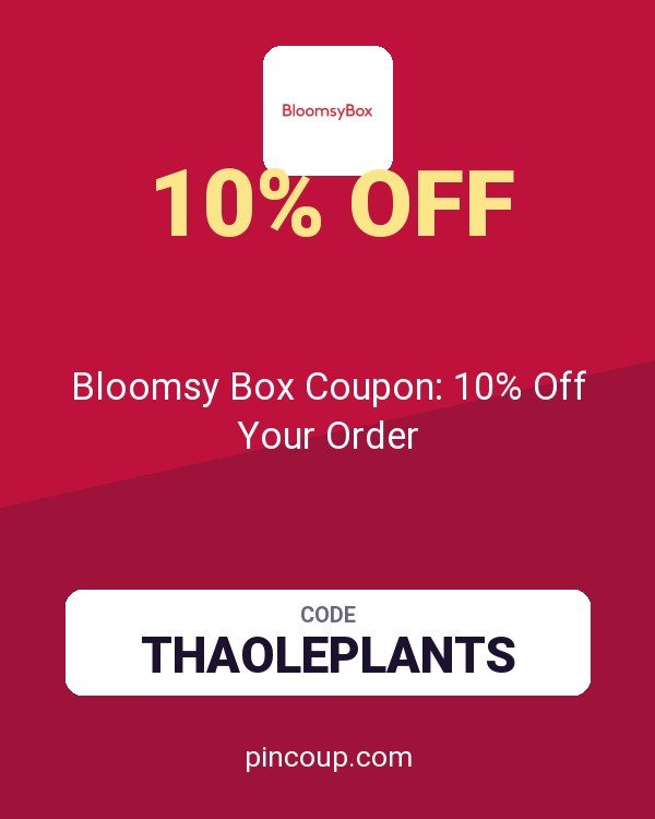 Bloomsy Box Coupon: 10% Off Your Order