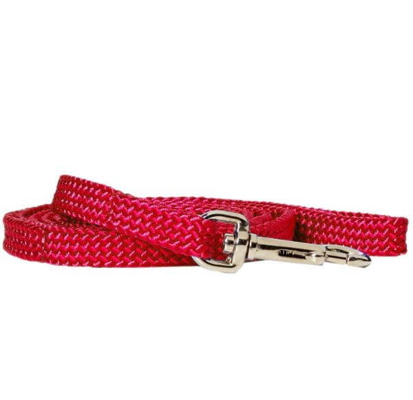 Rainbow Nylon Puppy Lead Red at Horse.com