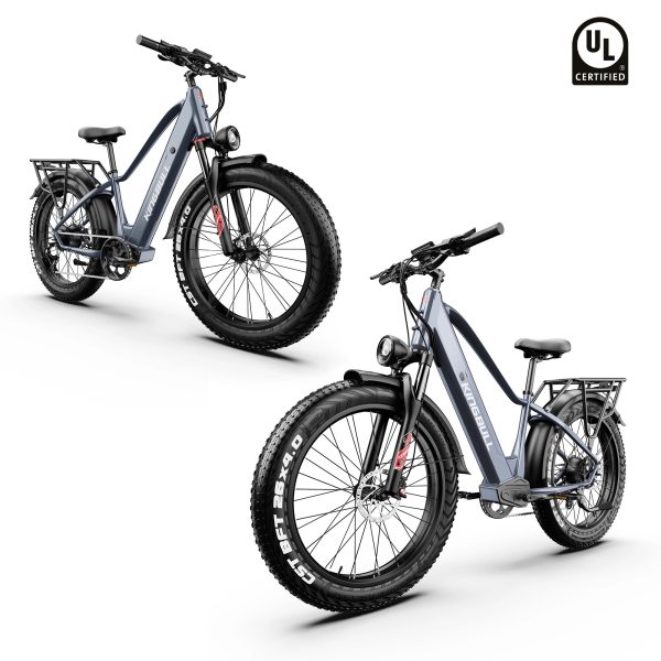 Double Kingbull Discover (ST) 2.0 | Premium Off-road & City Electric Bike - Gray&Gray at Kingbull Electric Bikes