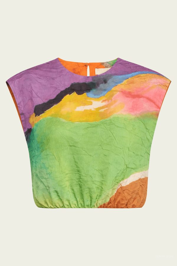Gisella Satin Crop Top in Nature Abhors A Vacuum - Multicolor. 4 US at American National Standards Institute Inc.