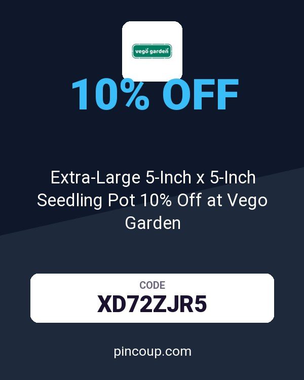 Extra-Large 5-Inch x 5-Inch Seedling Pot 10% Off at Vego Garden