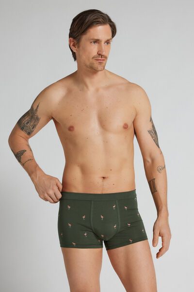 Intimissimi Flamingo Print Superior Cotton Boxers Man Green Size 4
