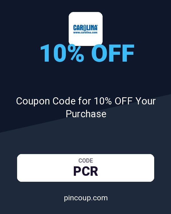Carolina: Coupon Code for 10% OFF Your Purchase
