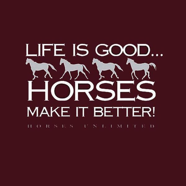 Life is GoodHorses Make it Better Hoodie at HorseLoverZ.com