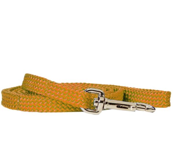 Rainbow Nylon Puppy Lead Neon Orange at Horse.com