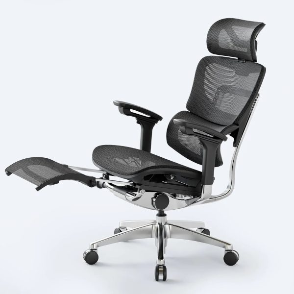 O1 (Ergo PLUS 743) | Flex Mesh Ergonomic Chair - Black / With Footrest at Odinlake