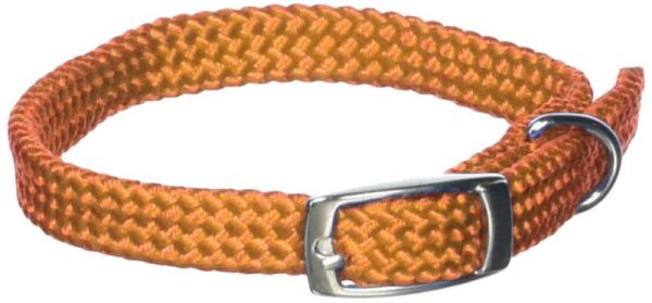 Adjustable Puppy Collar 12 Inch Neon Orange at Horse.com