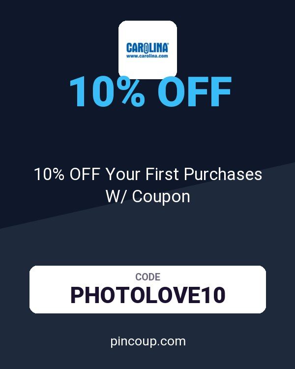 Carolina: 10% OFF Your First Purchases W/ Coupon