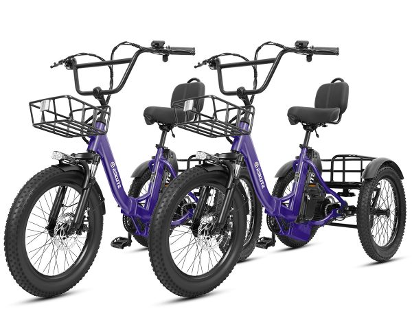 Eskute® Ebike Combo Sale T300Max2 - Purple2 at Eskute Ebikes