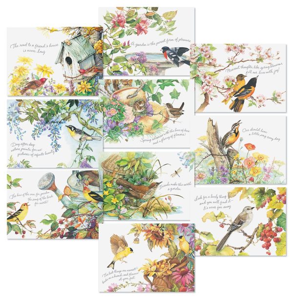 Nature's Serenade Faith and Friendship Greeting Cards Value Pack at Current Catalog