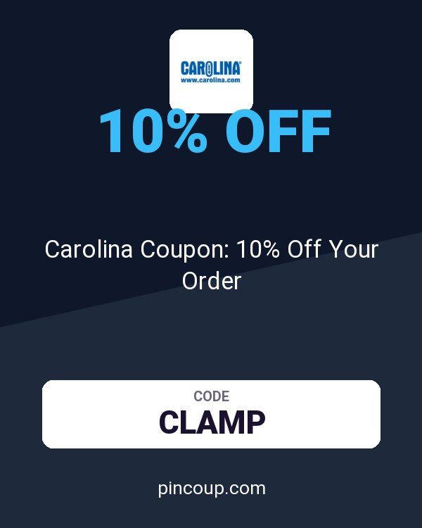 Carolina Coupon: 10% Off Your Order