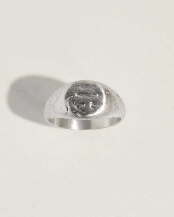 Seafarer Signet Ring at James Michelle