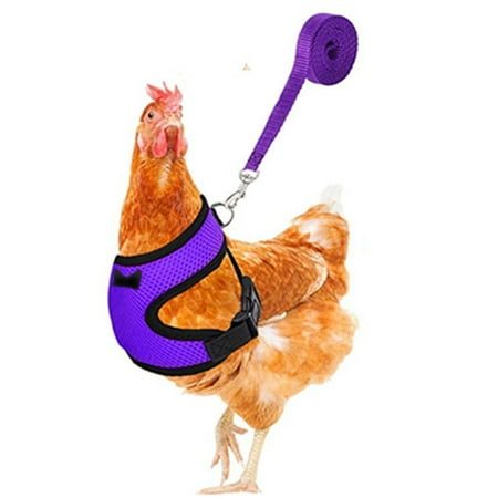 Yaoyar Chicken Harness with Leash Upgraded Double Adjustment Chicken Harness and Leash Set for Hens Duck Goose Small Pet at Walmart.com