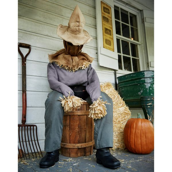 4 Ft 7 In Sitting Scarecrow Animatronic - JCW Investments Inc/Tekky Toys - Spirit Halloween at SpiritHalloween.com