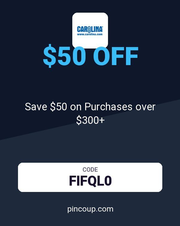 Carolina coupon: Save $50 on Purchases over $300+